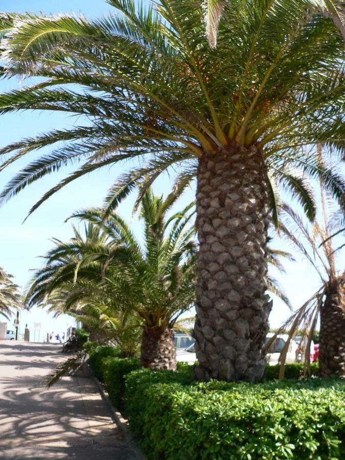 "Bien Vivre Ensemble" Aux Marches Du Soleil - Chambres Privees Chez L'Habitant Dans Appartement Partage Sète Eksteriør billede
