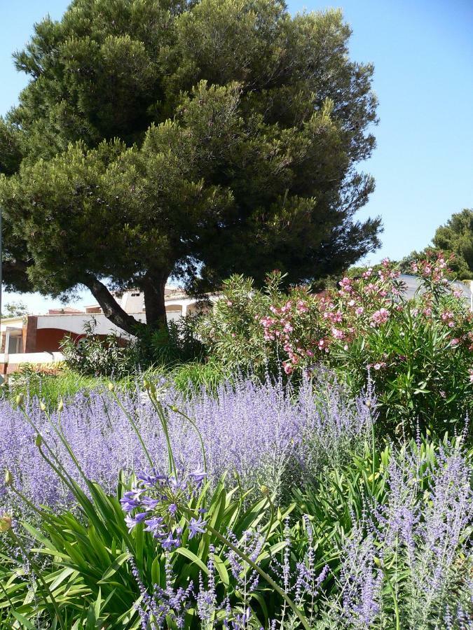 "Bien Vivre Ensemble" Aux Marches Du Soleil - Chambres Privees Chez L'Habitant Dans Appartement Partage Sète Eksteriør billede