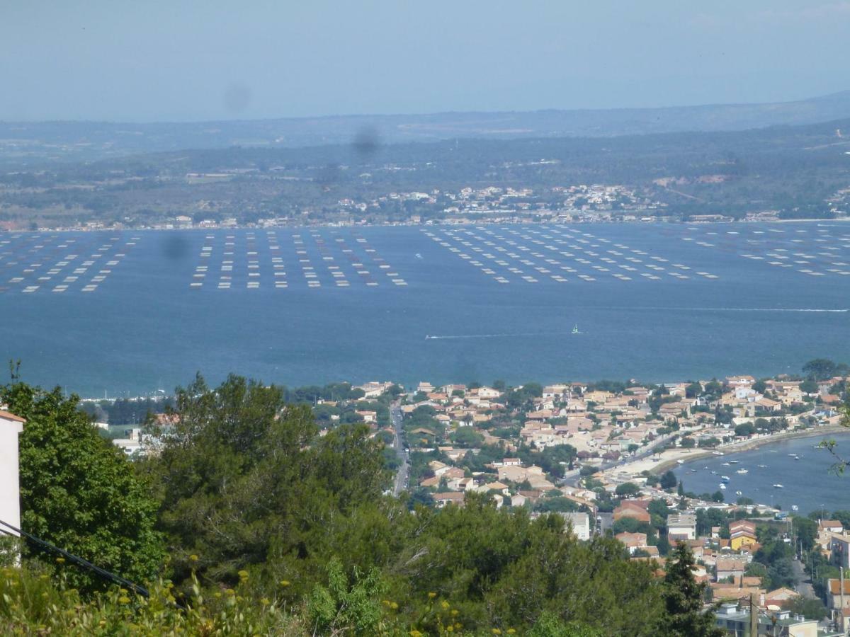 "Bien Vivre Ensemble" Aux Marches Du Soleil - Chambres Privees Chez L'Habitant Dans Appartement Partage Sète Eksteriør billede